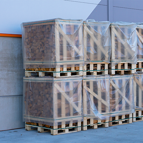 Minimalist Pastel Green iPhone Case